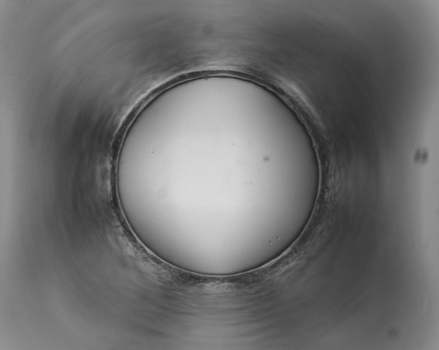 X0000113351268200909291046