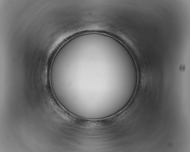 X0000113351270200909291046
