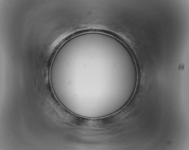 X0000113351271200909291046