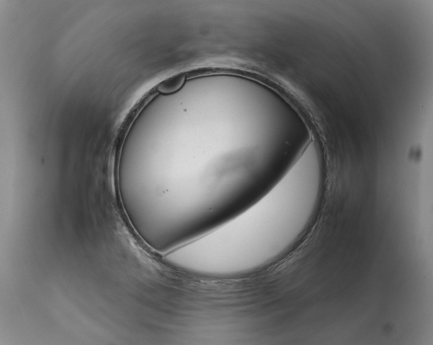 X0000113351272200909291046