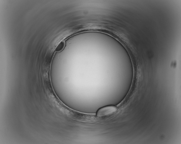 X0000113351273200909291046