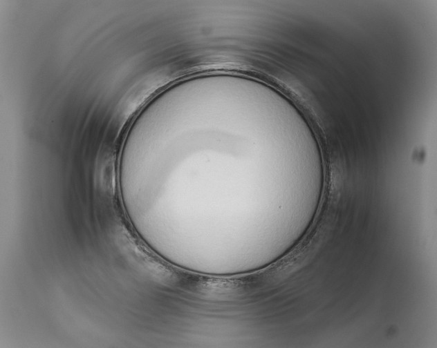 X0000113351274200909291045