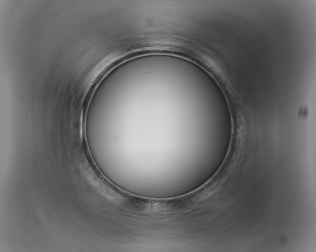 X0000113351275200909291045