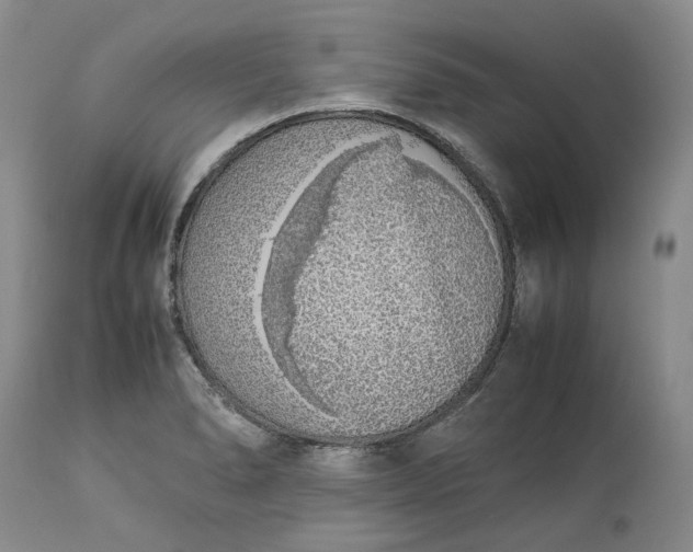 X0000113351278200909291045