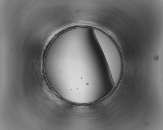 X0000113351280200909291045