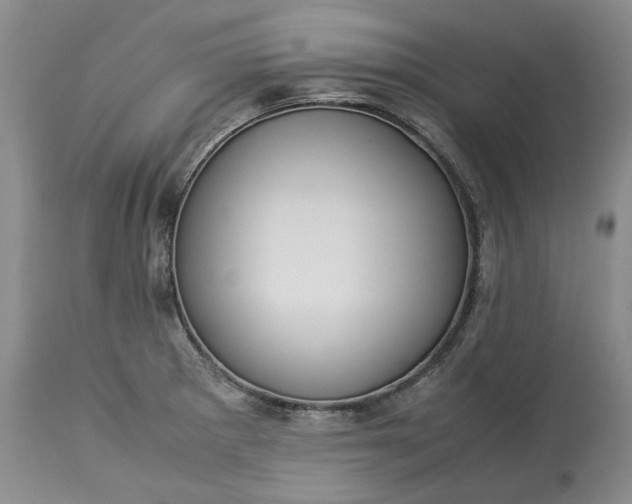 X0000113351281200909291045