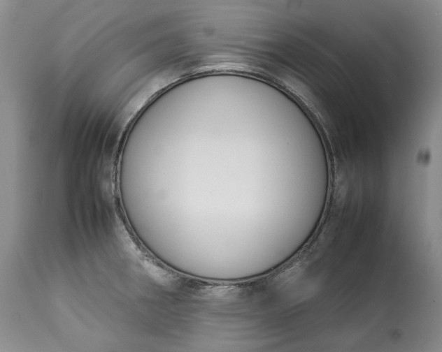 X0000113351282200909291045
