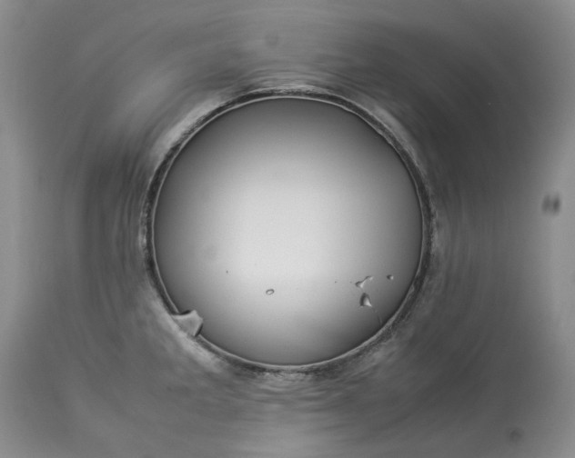 X0000113351285200909291045
