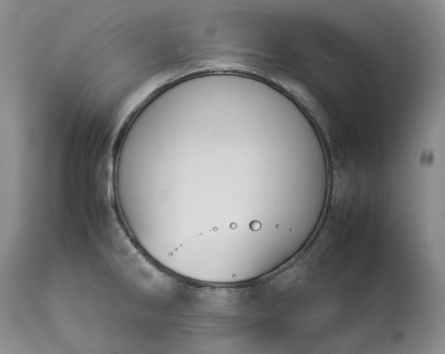 X0000113351286200909291045