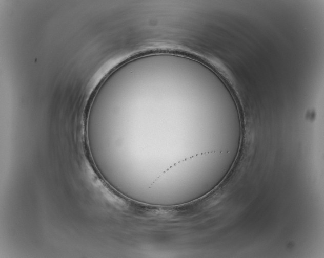 X0000113351287200909291045