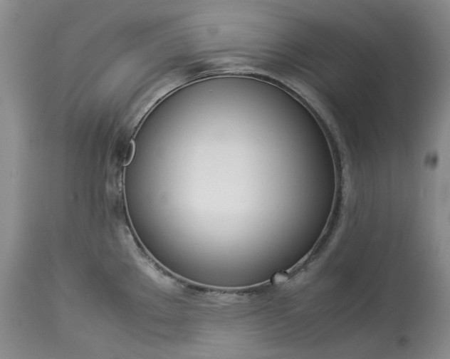 X0000113351289200909291045