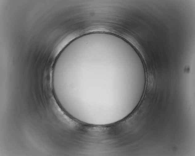 X0000113351290200909291045