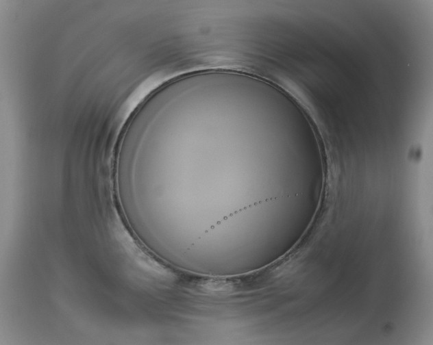 X0000113351291200909291045