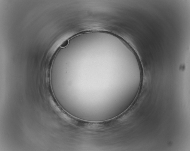 X0000113351293200909291045