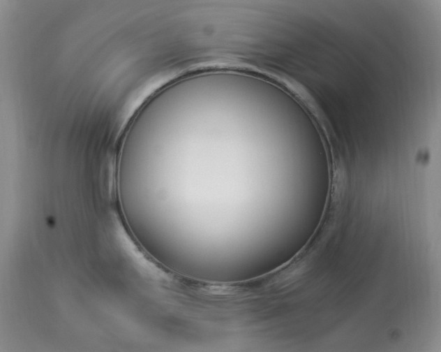 X0000113351295200909291045