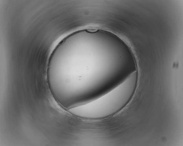 X0000113351296200909291045