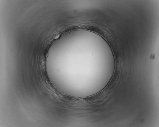 X0000113351298200909291044