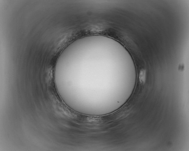 X0000113351299200909291044