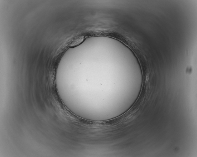 X0000113351300200909291044