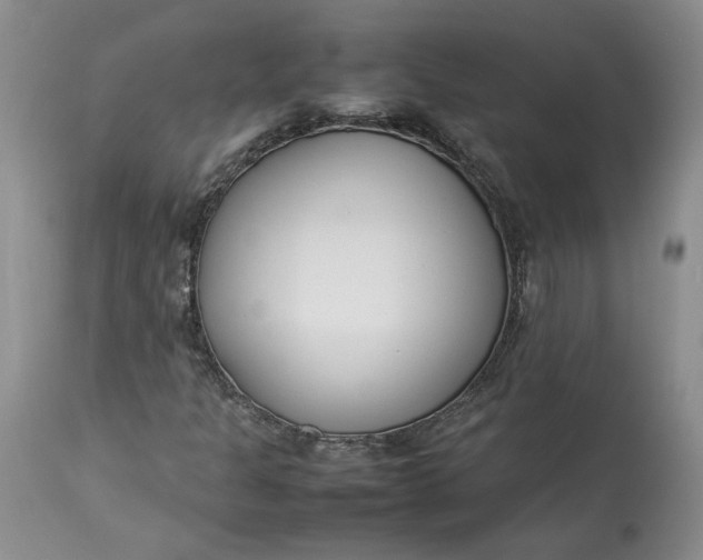 X0000113351301200909291044