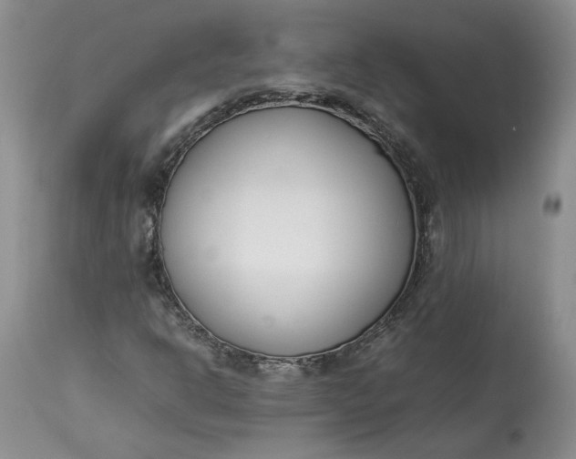 X0000113351302200909291044