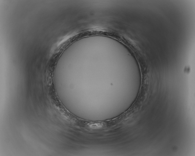 X0000113351303200909291044