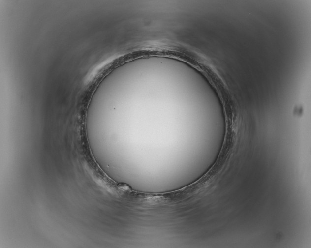 X0000113351304200909291044
