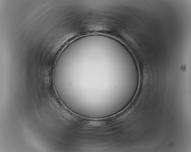 X0000113351305200909291044