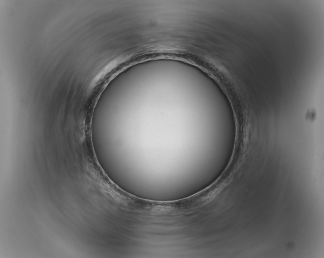 X0000113351306200909291044