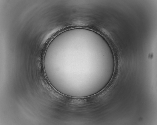 X0000113351307200909291044
