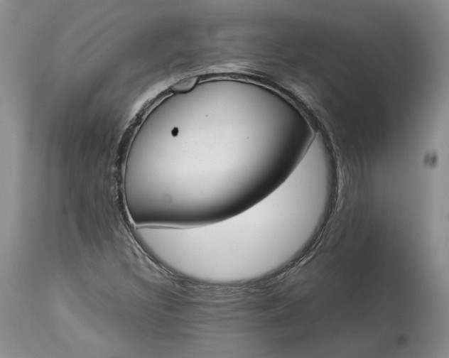 X0000113351308200909291044