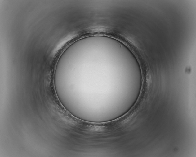 X0000113351309200909291044