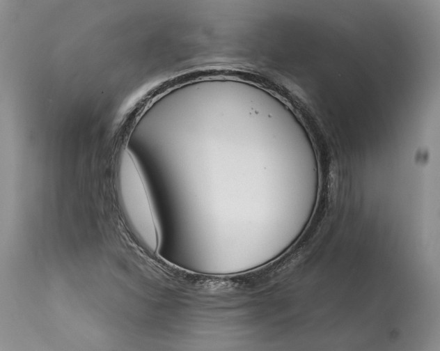 X0000113351310200909291044