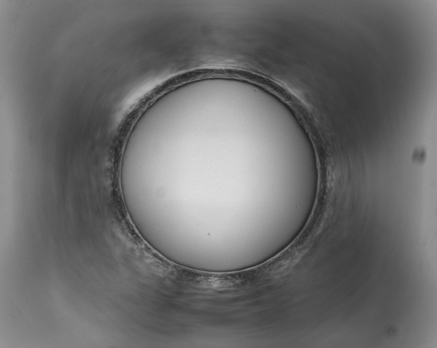 X0000113351311200909291044