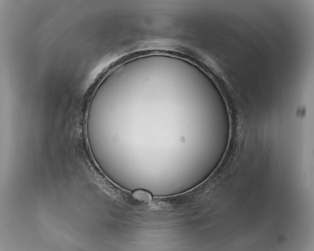 X0000113351312200909291044
