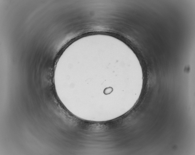 X0000113351314200909291044