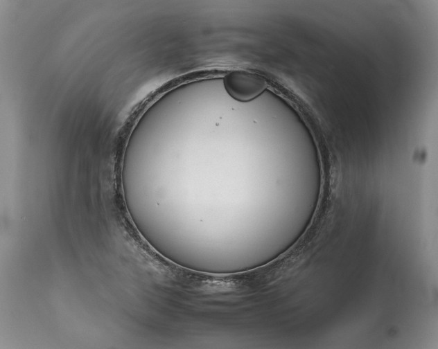 X0000113351315200909291044
