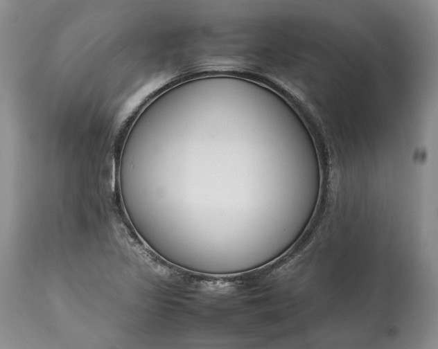 X0000113351317200909291044