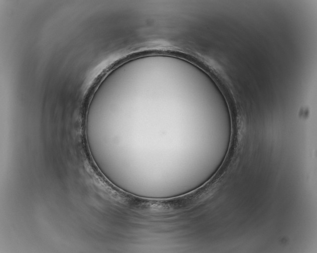 X0000113351318200909291044