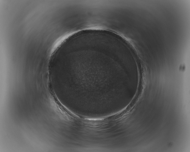X0000113351319200909291044