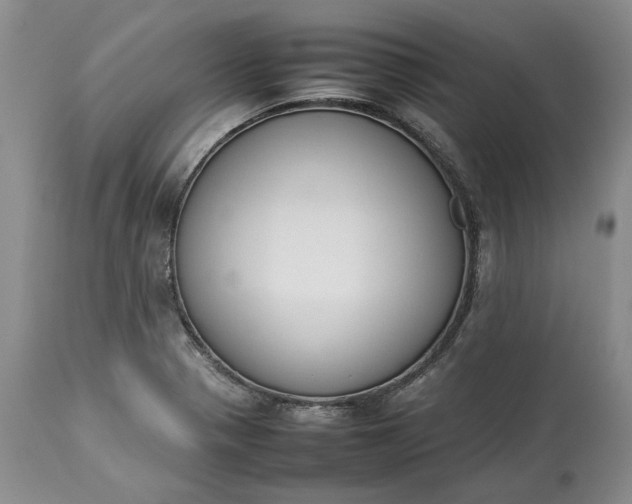 X0000113351321200909291045