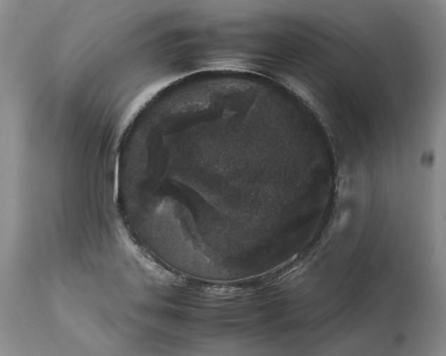 X0000113351323200909291045