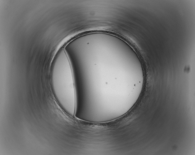 X0000113351324200909291045