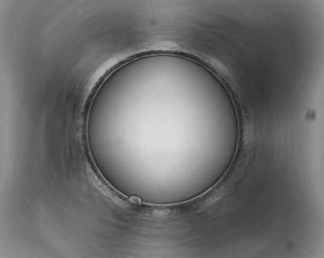 X0000113351326200909291045