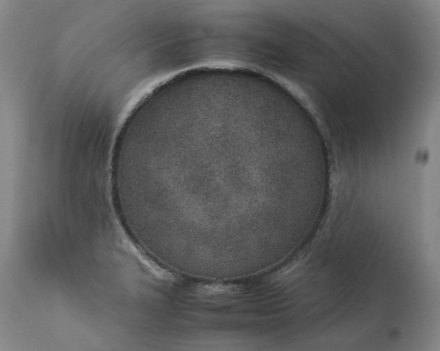 X0000113351327200909291045