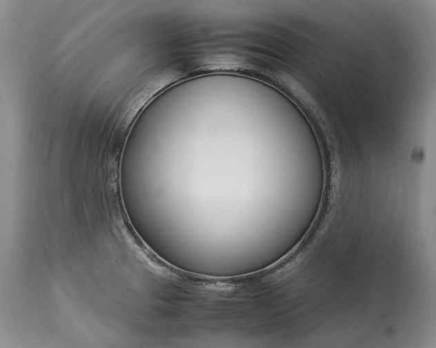 X0000113351329200909291045