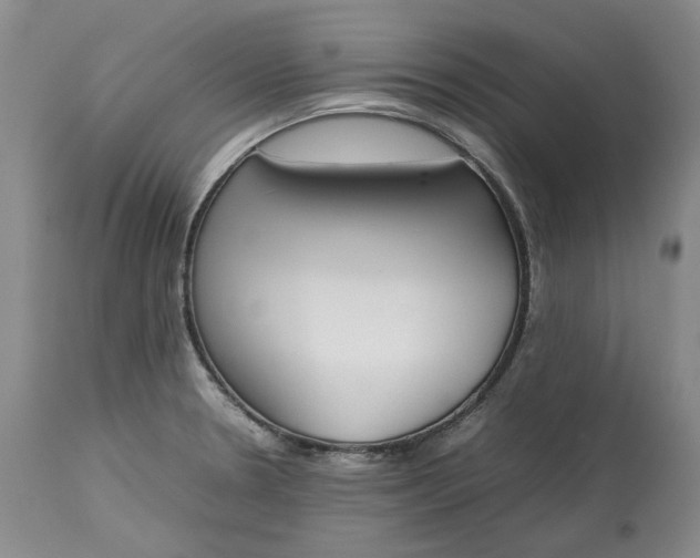 X0000113351330200909291045