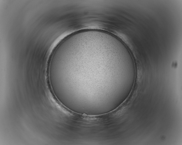 X0000113351331200909291045
