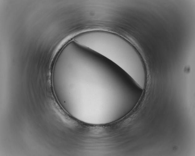 X0000113351332200909291045