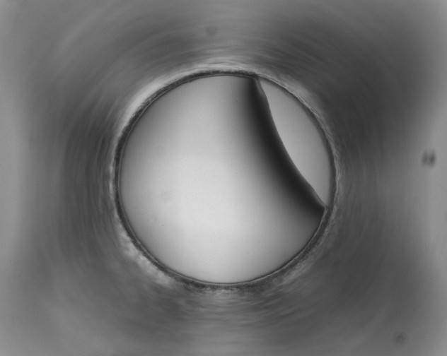 X0000113351334200909291045